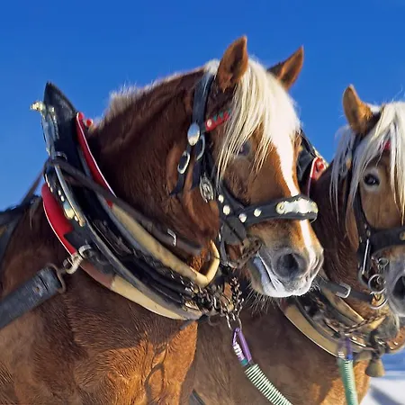 Bed & Breakfast Landgraf 3*