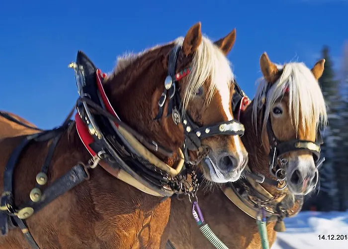 Bed and breakfast Landgraf 3*