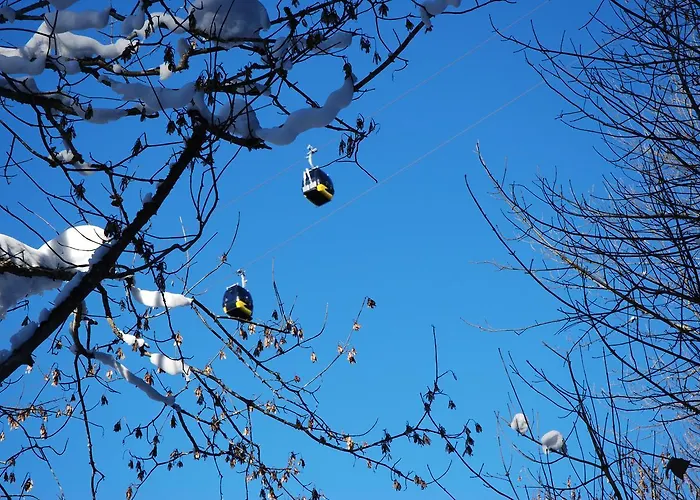 Landgraf Bed and Breakfast 3*